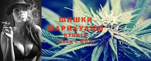 дживик Балахна